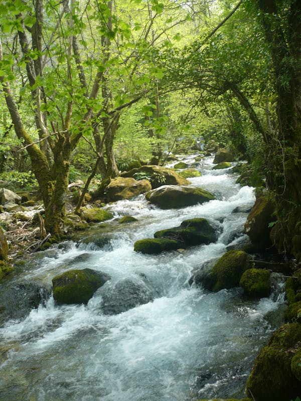 Senior living community