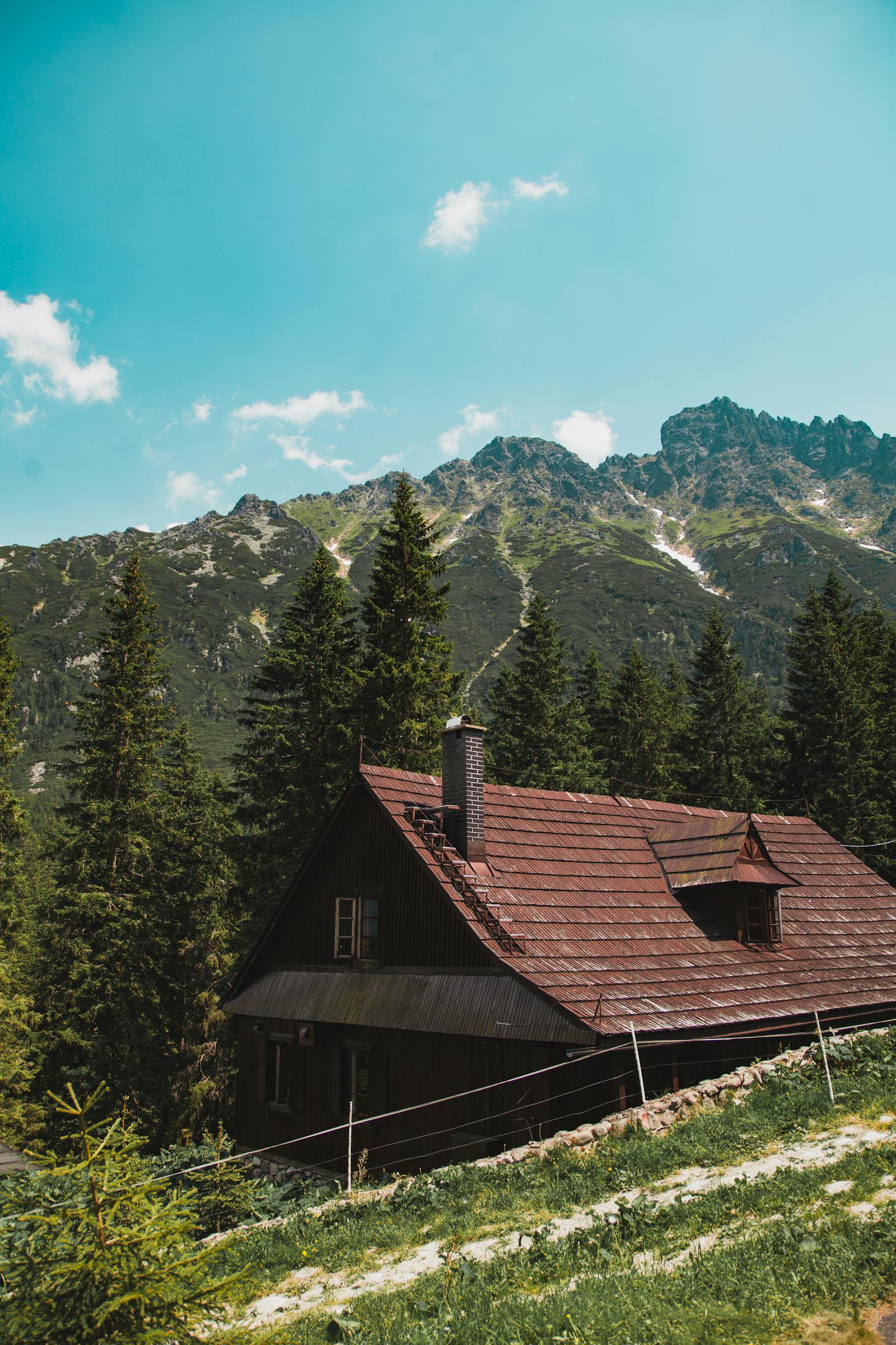 Person watching a fantasy series trailer on a laptop