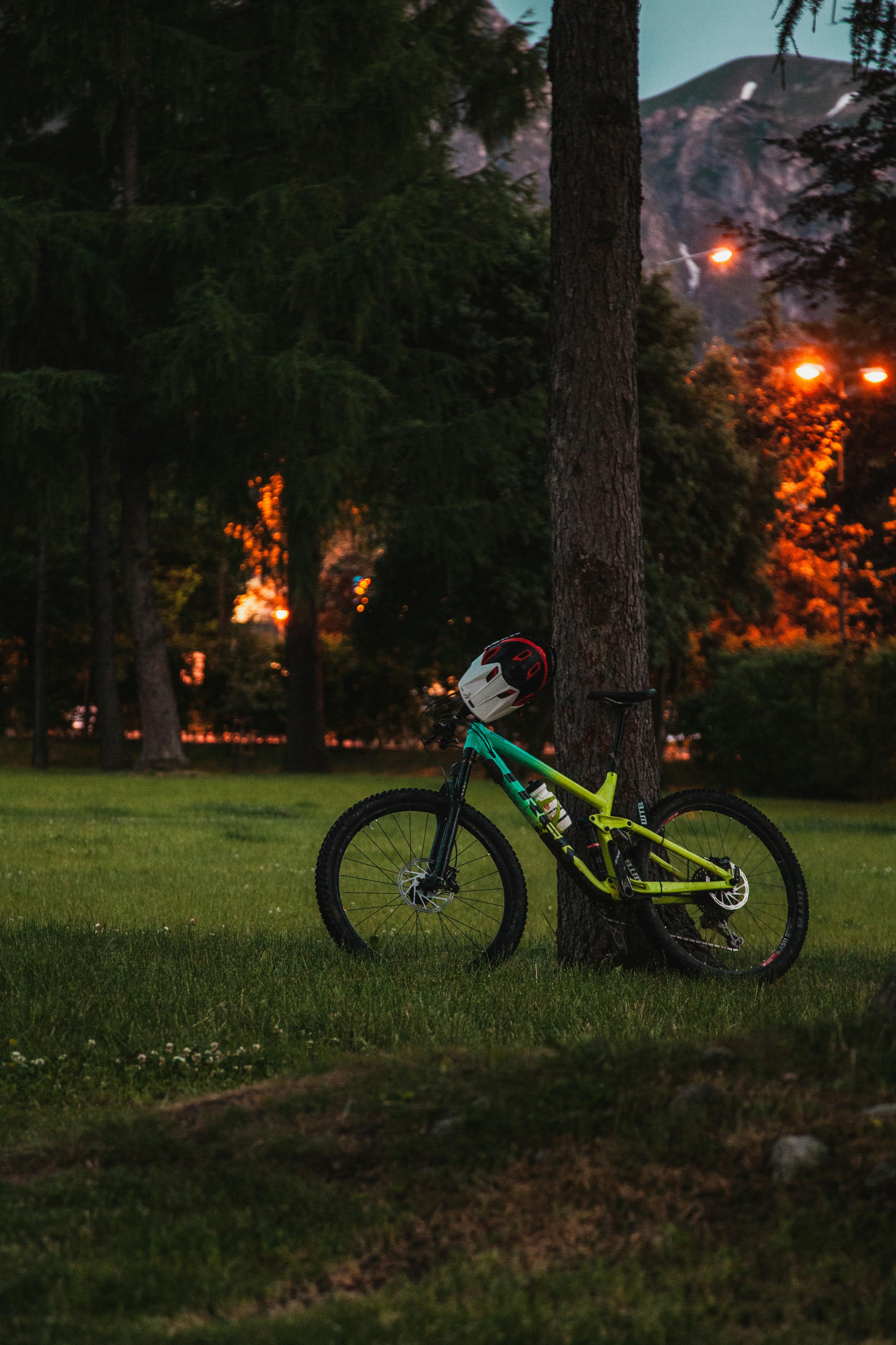 Bike parked near trees on green grassy meadow in illuminated town with mountain on background in twilight