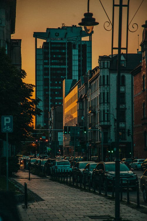 City district with cars parked on road near buildings