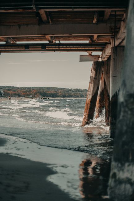 Weathered wooden bridge with columns located on wet coast with foamy waving sea against grassy hilly area in coastal area