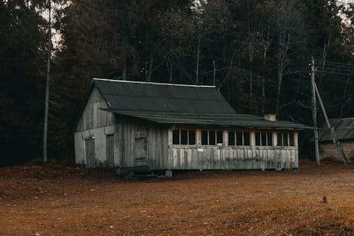 Wooden shabby barn in misty forest