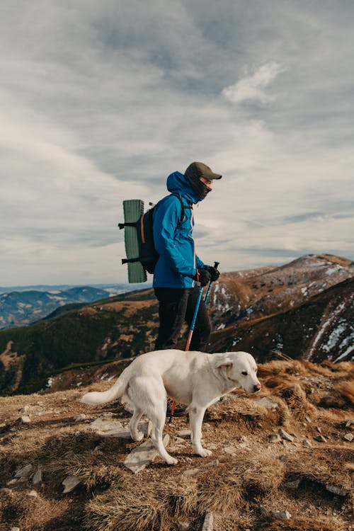 Gratis lagerfoto af aktivitet, Backpacker, bestige