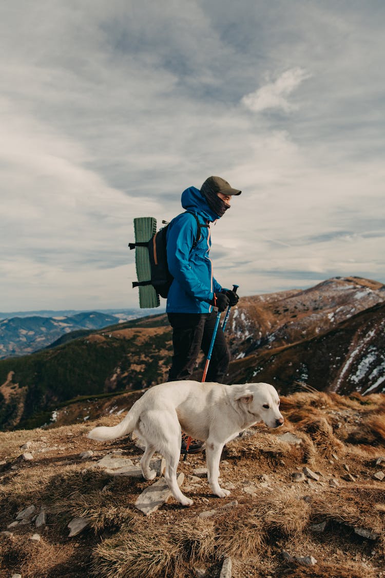 Anonymous Male Hiker Standing On Mountain Peak With Purebred Dog