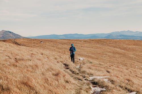 Anonymous traveler in warm clothes with loyal dog standing on hill slope covered with dry grass during hiking trip in mountainous countryside under cloudy sky