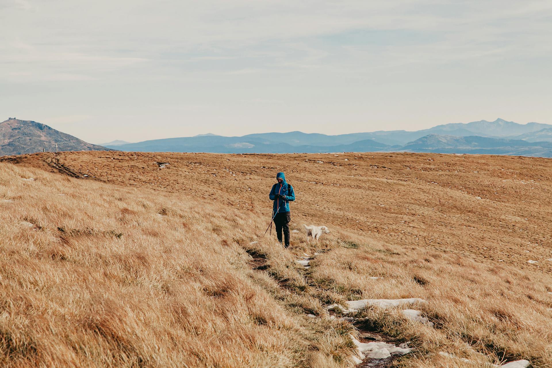 Anonymous traveler in warm clothes with loyal dog standing on hill slope covered with dry grass during hiking trip in mountainous countryside under cloudy sky