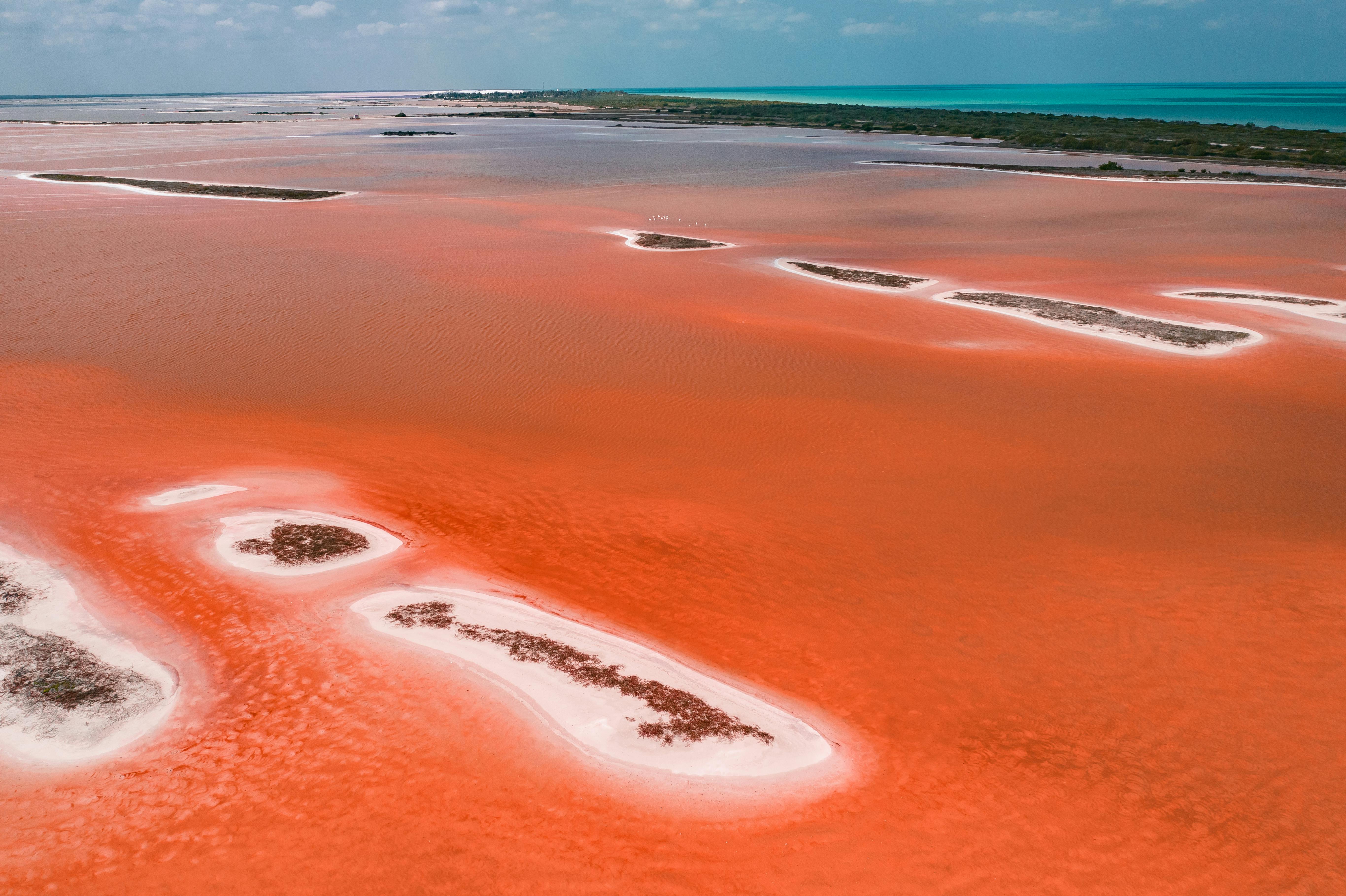 aerial view of blue sea