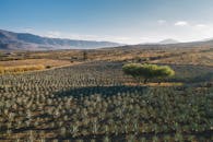 从上方探索墨西哥瓦哈卡州风景优美的龙舌兰田和山地景观