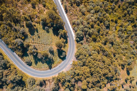 Aerial shot showcasing a scenic curved road winding through a lush forest and open fields.
