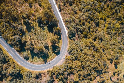 Free Aerial shot showcasing a scenic curved road winding through a lush forest and open fields. Stock Photo