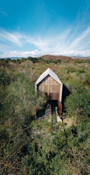 A modern house stands isolated among dense trees under a bright blue sky, captured from above.