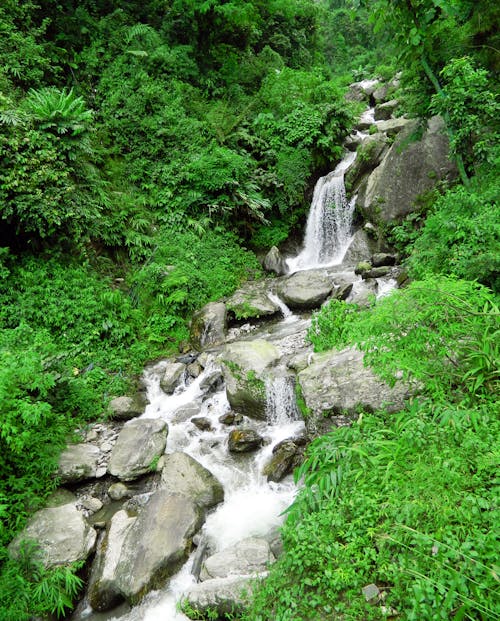 Free stock photo of a beautiful little waterfall