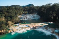 Stunning aerial shot of Agua Azul waterfalls surrounded by lush forest in Chiapas, Mexico.