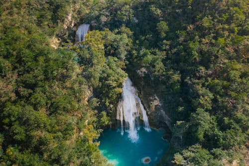 A Beautiful Waterfalls Surrounded by Green Trees in the Forest