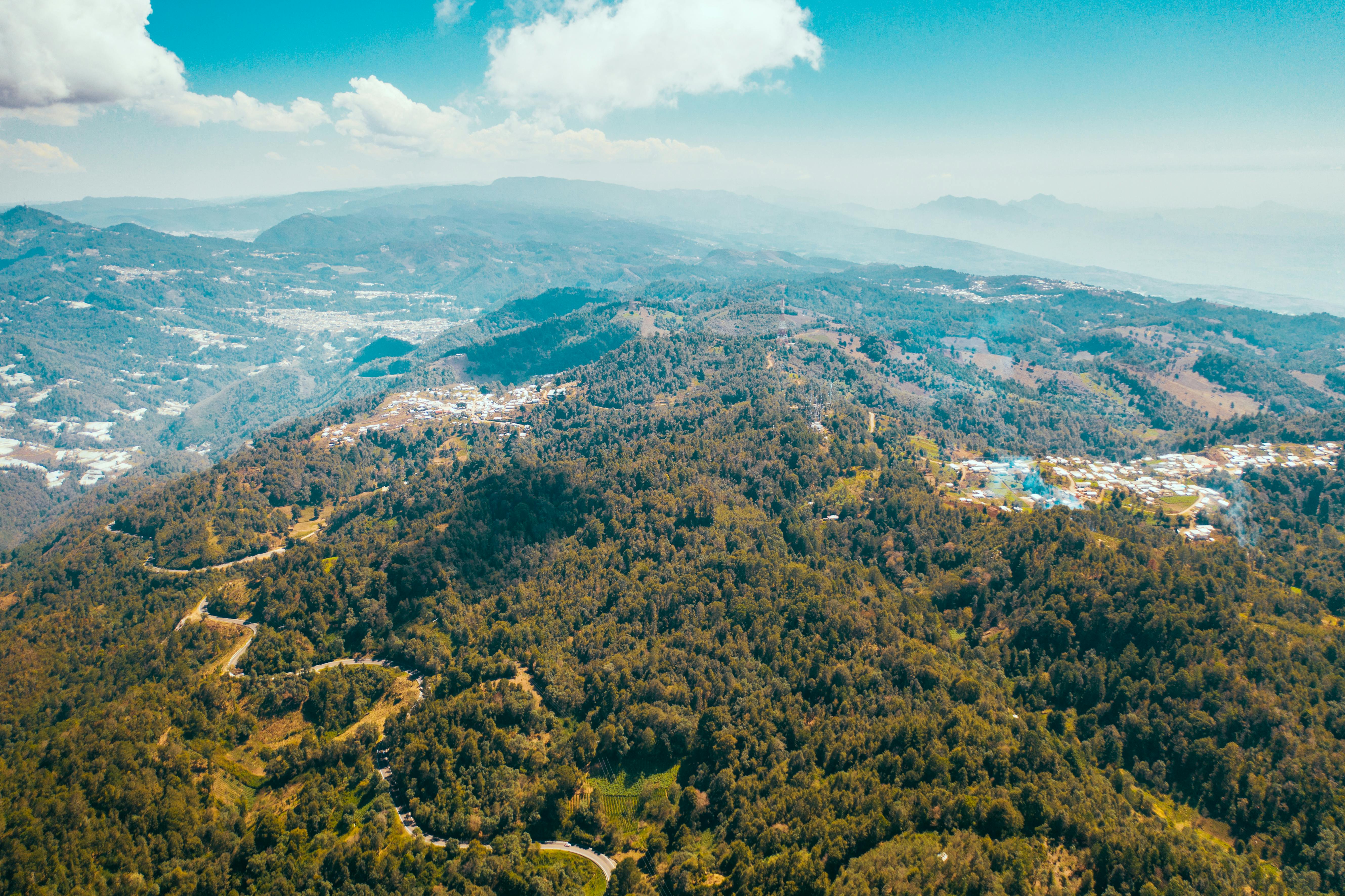 aerial view of green trees and mountains