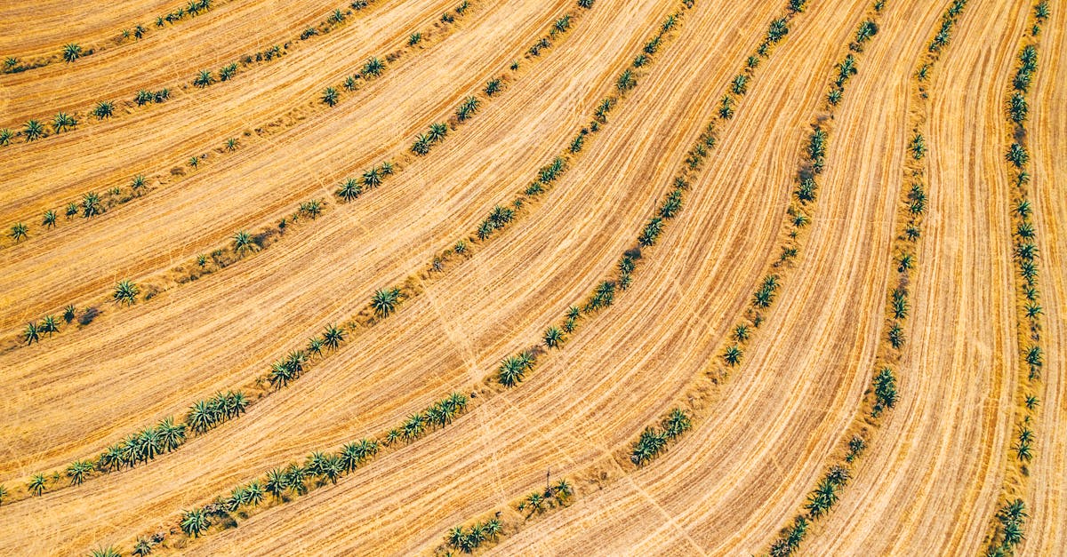 國際航空首度在台使用SAF!許智傑高雄考察力挺永續飛行