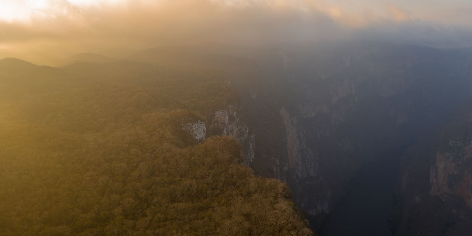 Aerial view of a fog-covered canyon at sunset