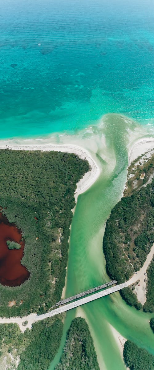 Aerial View of a Landscape