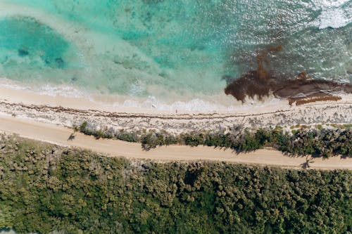 Aerial Shot of a Seashore