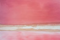 墨西哥尤卡坦州引人注目的粉红色盐湖景观航拍照片