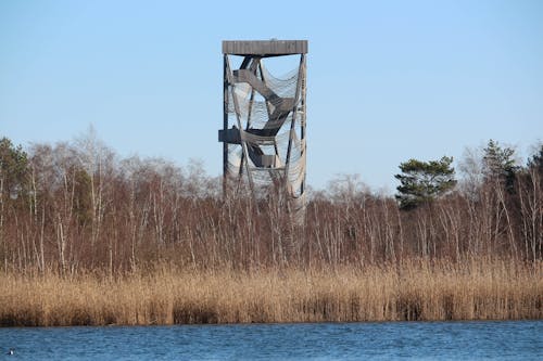 Free stock photo of blue, nature, tower