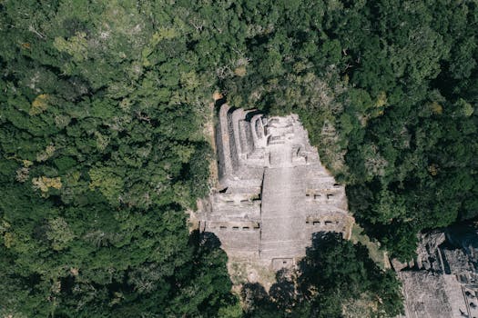 Manaus Rainforest Lodge, Brazil photo 6