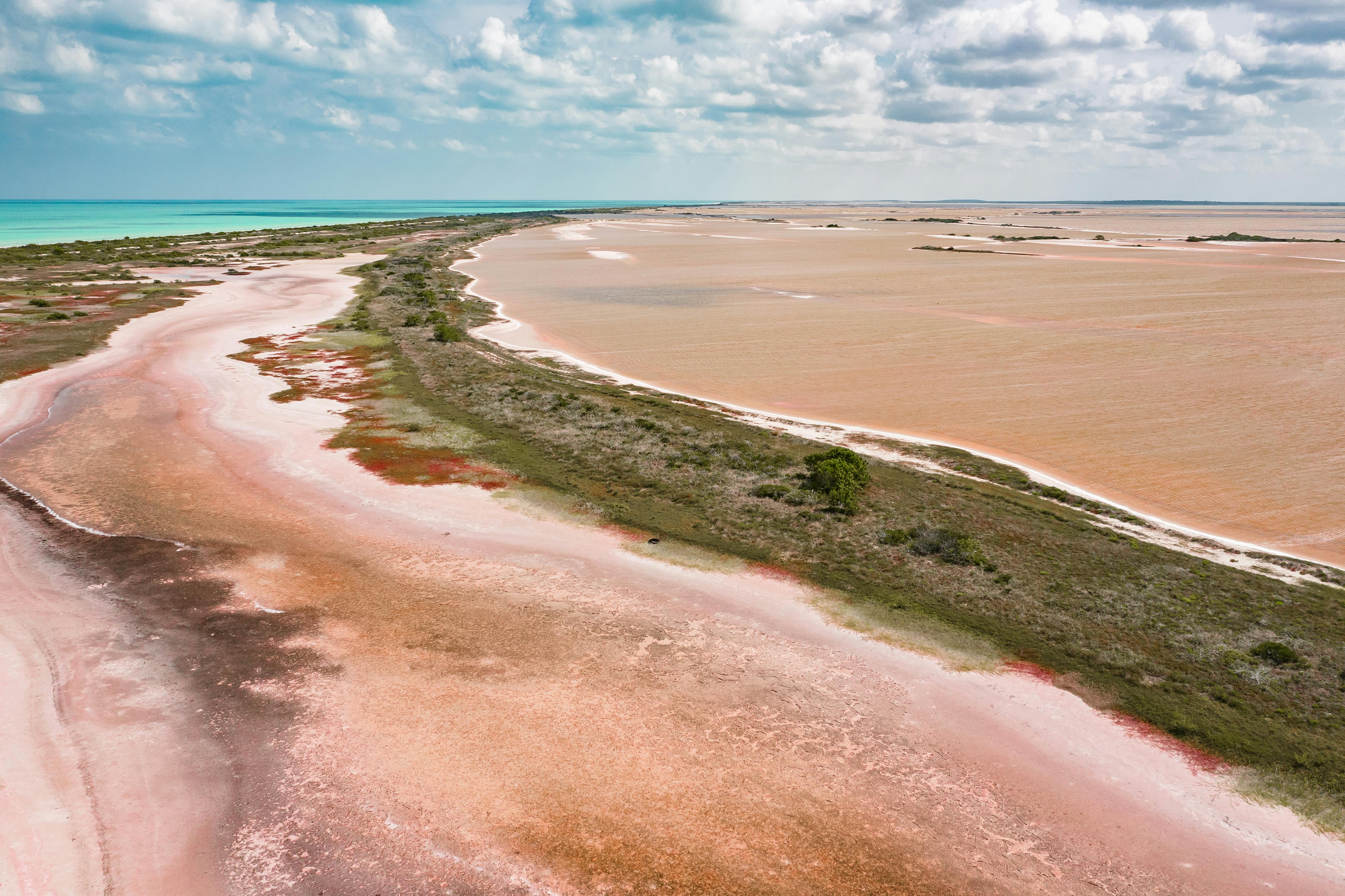 brown sand beach