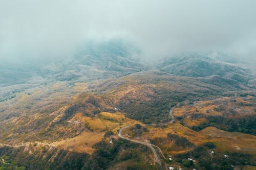 Fotos de stock gratuitas de al aire libre, arboles, bosque