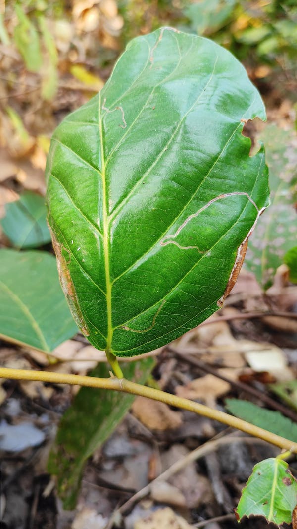 NBC 2016 Fire Safety Compliance: What Building Owners Must Know