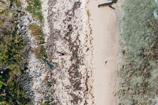 A stunning aerial shot capturing a serene, isolated beach with clear ocean waters and lush vegetation on a sunny day.