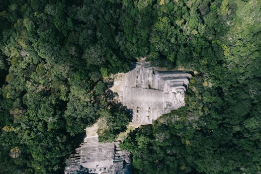 Overhead shot of temple ruins nestled in dense forest, Mexico.