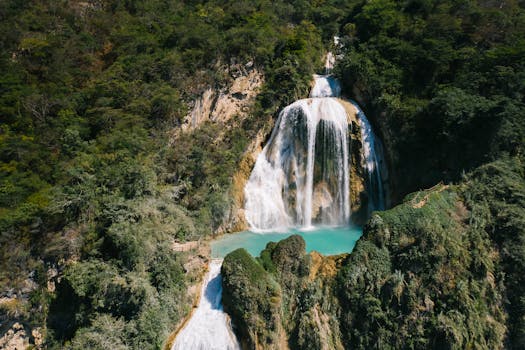 Breathtaking aerial view of a vibrant waterfall cascading into a turquoise pool surrounded by lush green forest in Mexico.