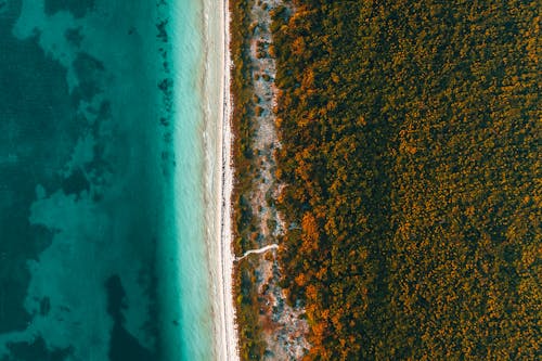 Immagine gratuita di acqua, alberi, drone messico