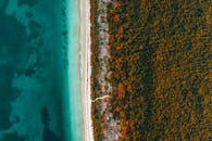 在日落时分，航拍的照片捕捉到了美丽的海滩与茂密森林的相遇