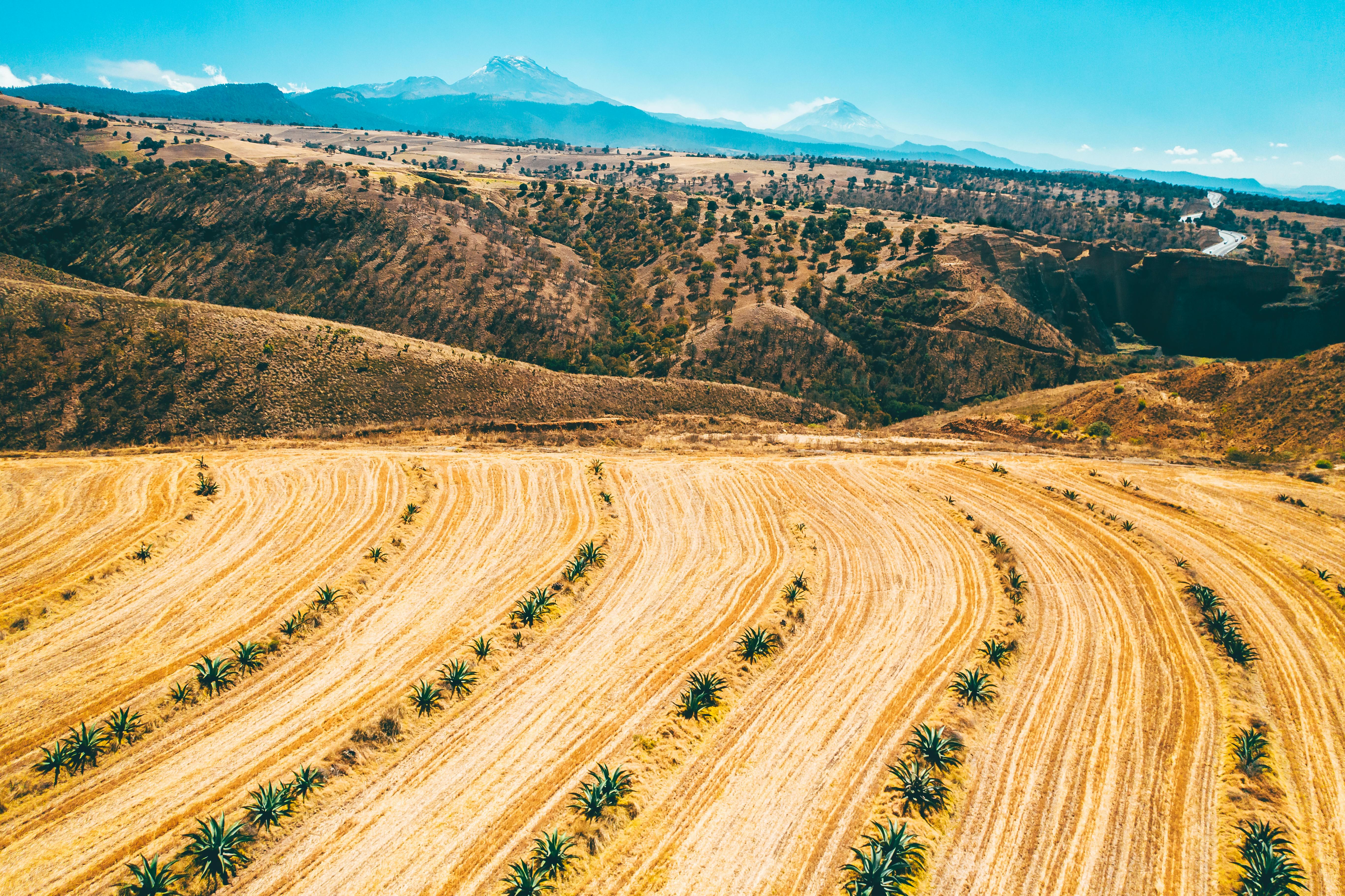 brown field near brown mountain