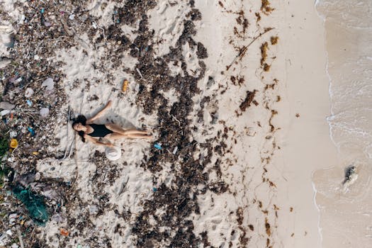 Drone captures woman in black bikini lying on sandy beach with seaweed.