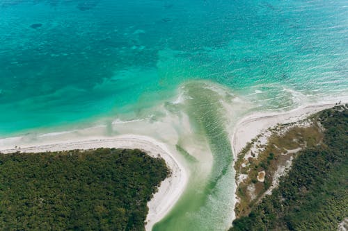 Imagine de stoc gratuită din coastă, copaci verzi, dronă mexico