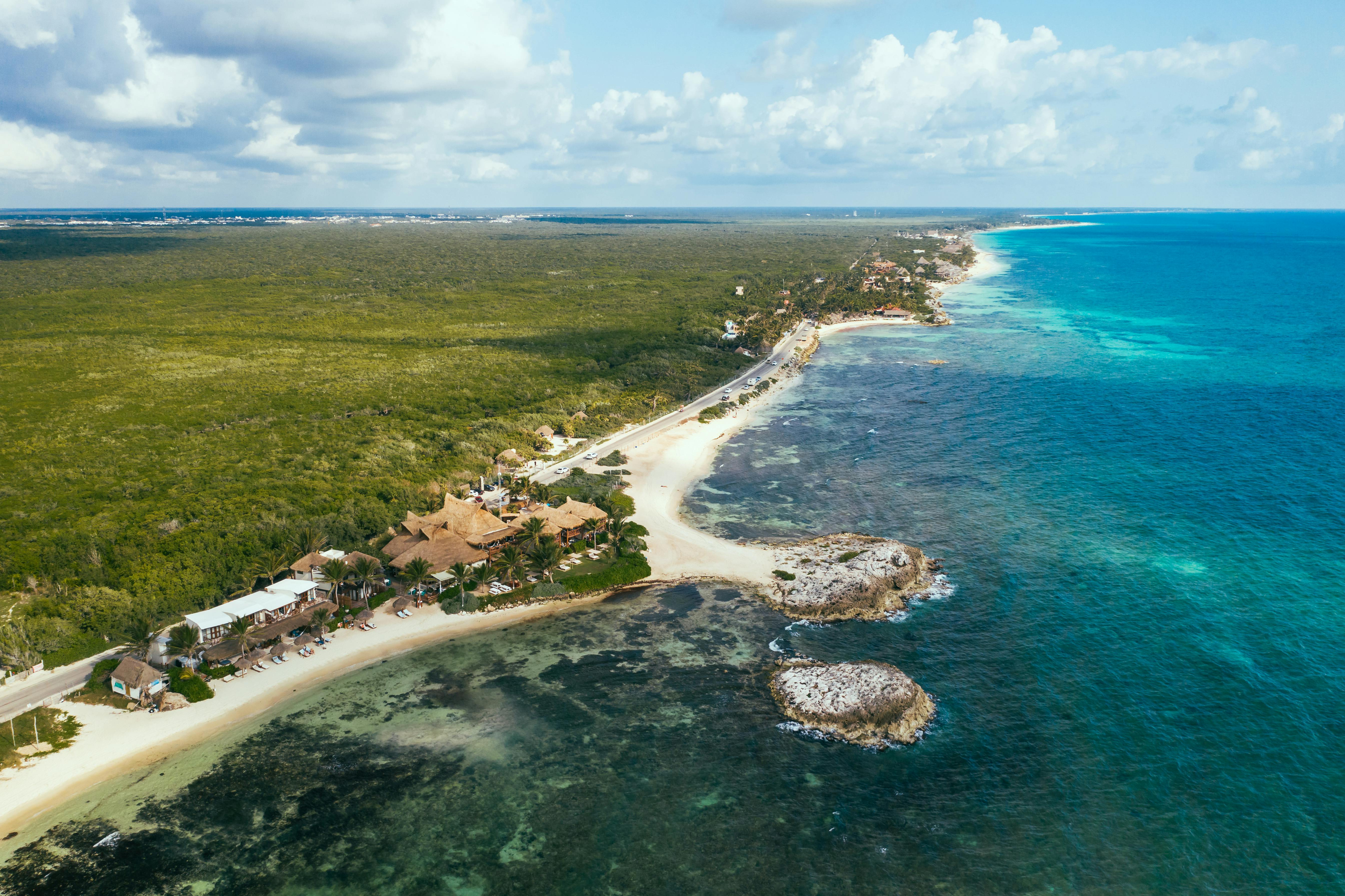 aerial view of green trees and body of water