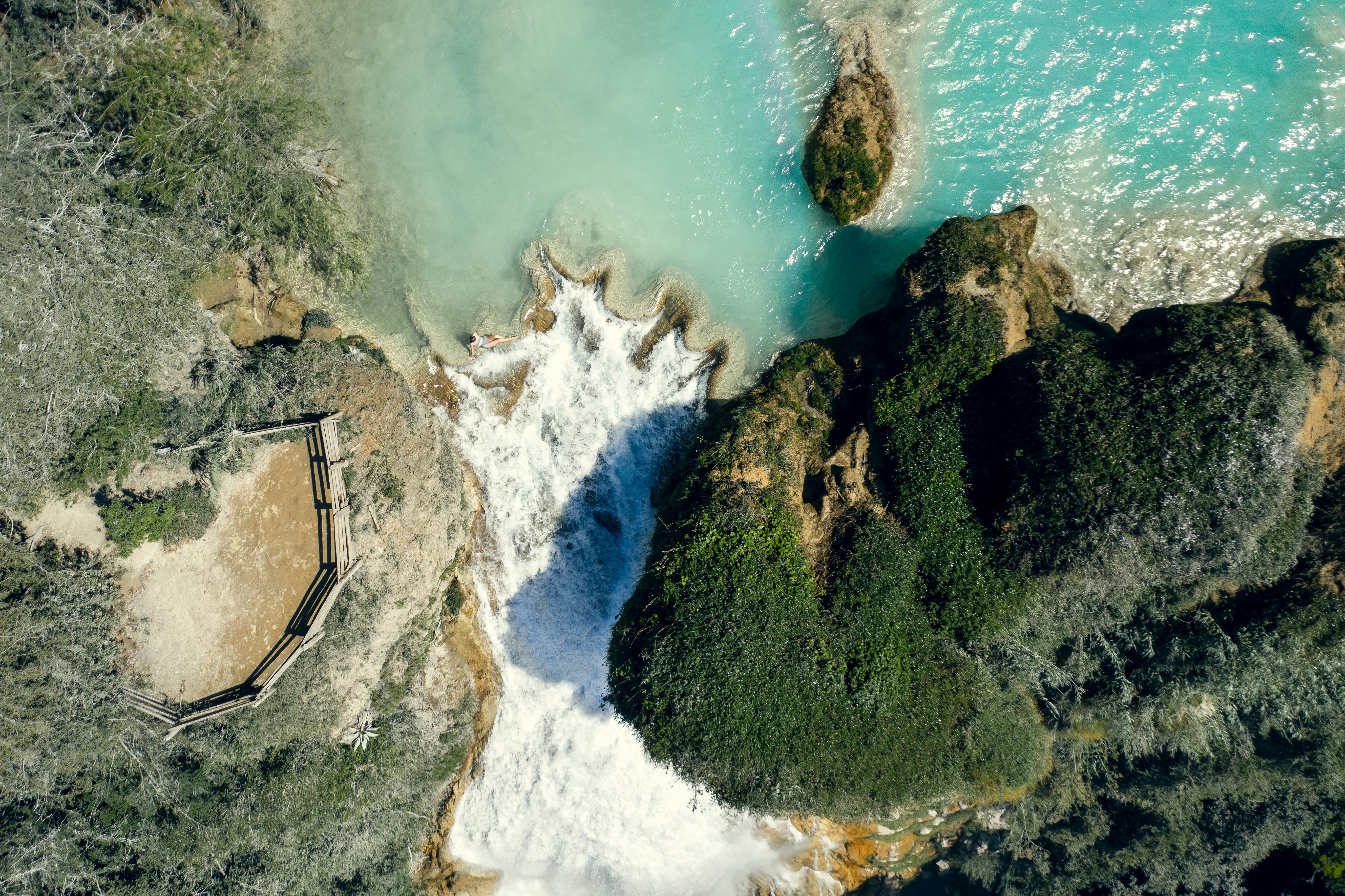 aerial view of green trees and body of water