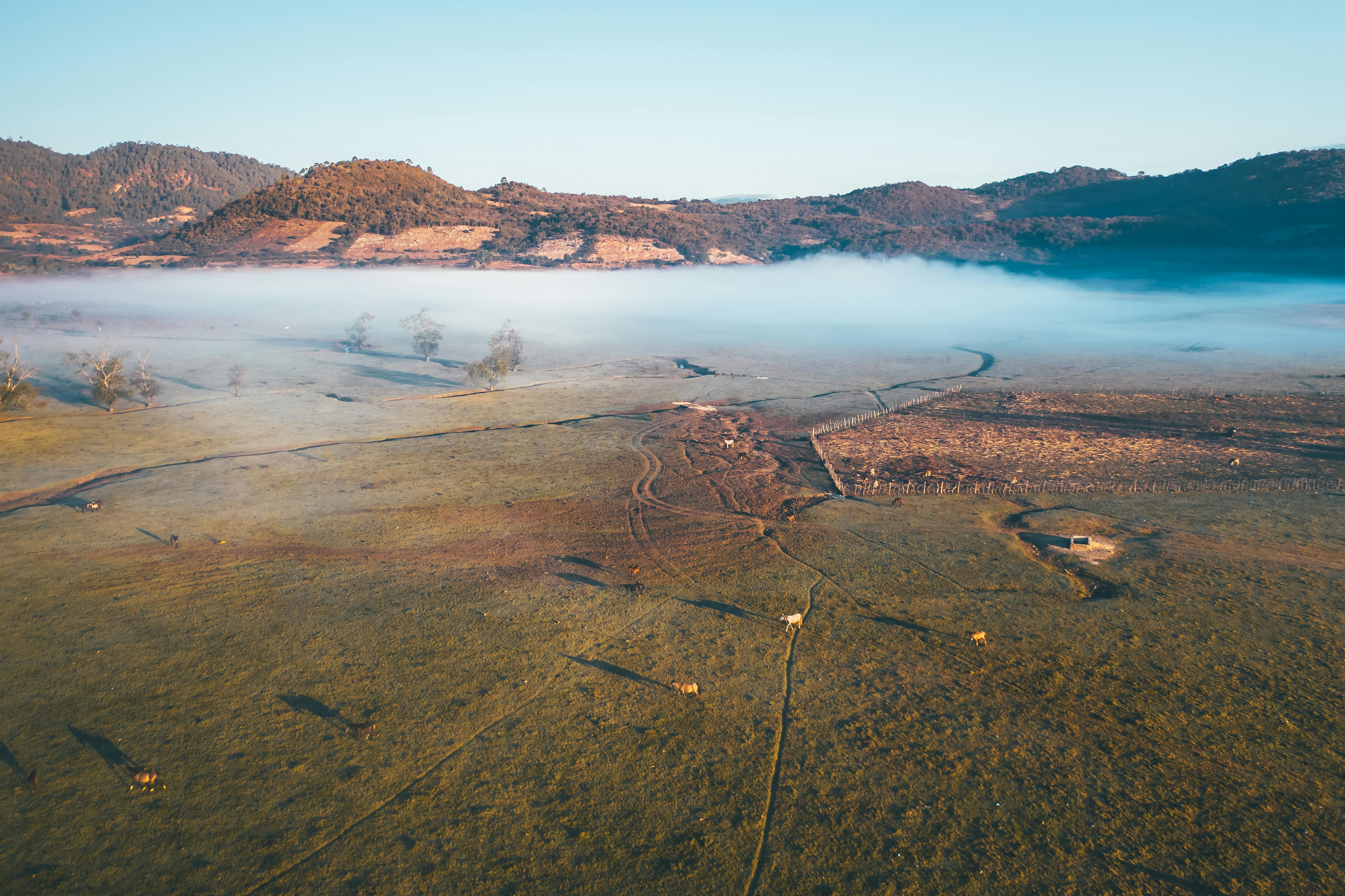 aerial view of green grass field near body of water