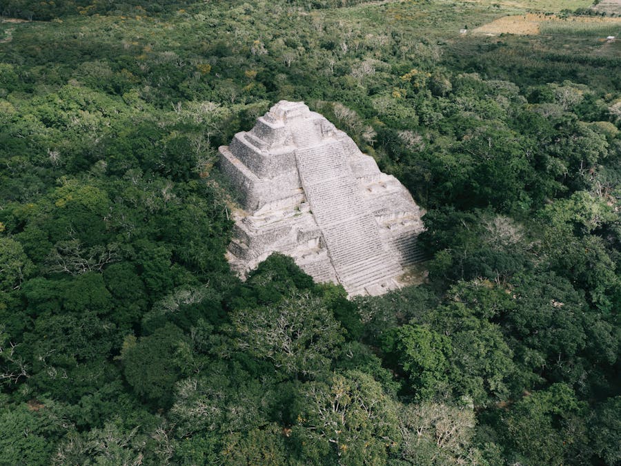 What nationality is JJ's phone?