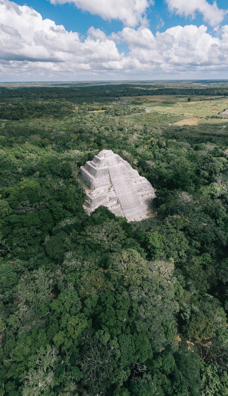 Birds Eye View Of Estructura 1 Calakmul