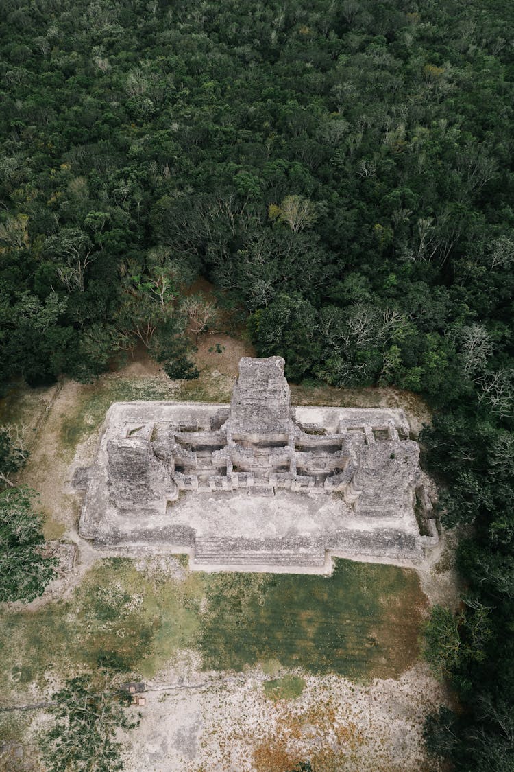 Ruins Of Ancient Mayan Tomb Stone In The Forest