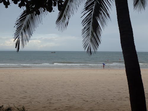 Gratis lagerfoto af vietnam