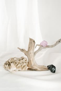 Elegant arrangement of crystals and driftwood against a white backdrop, creating a serene and mystical ambiance.