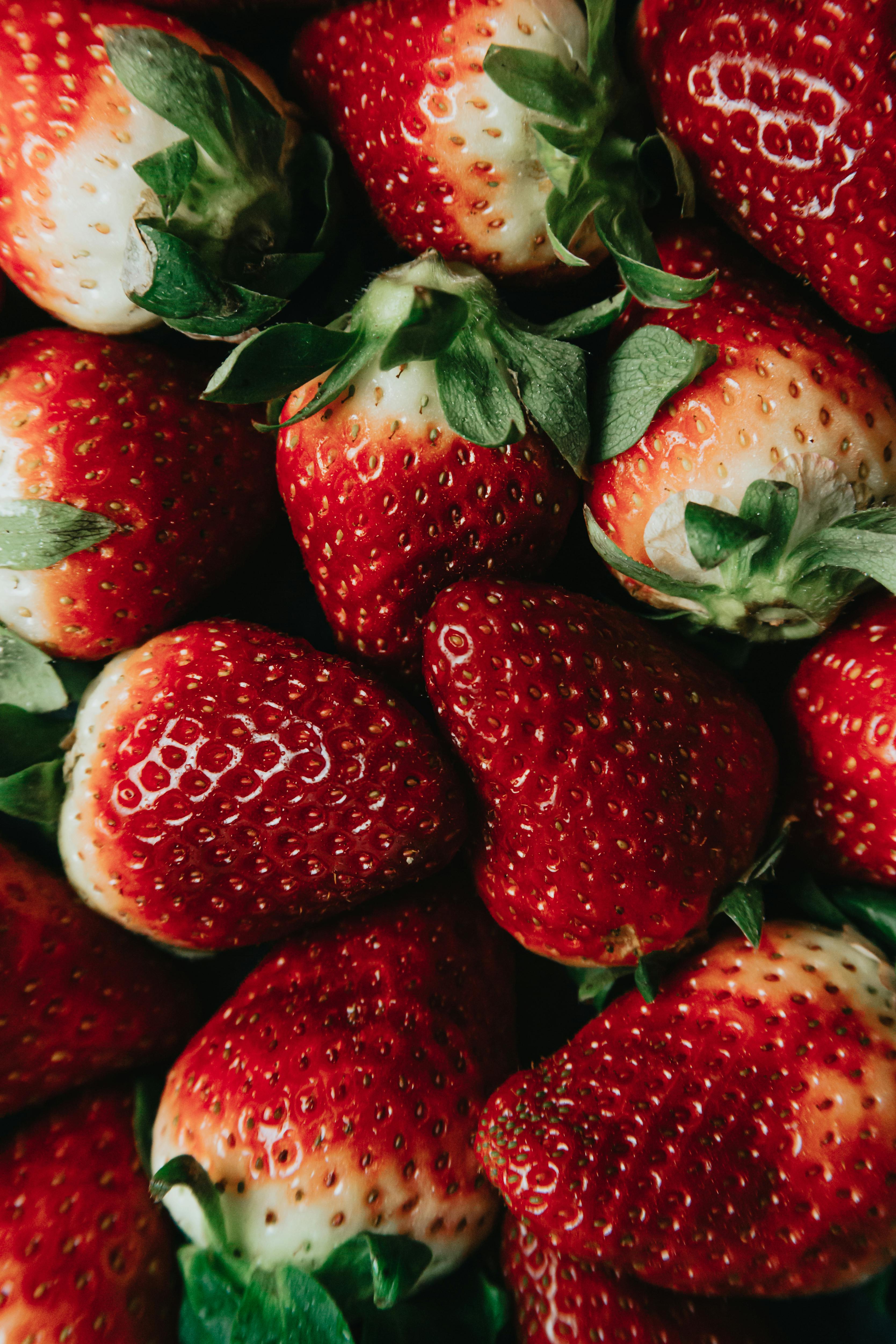 118374 Strawberry Wallpaper Images Stock Photos  Vectors  Shutterstock