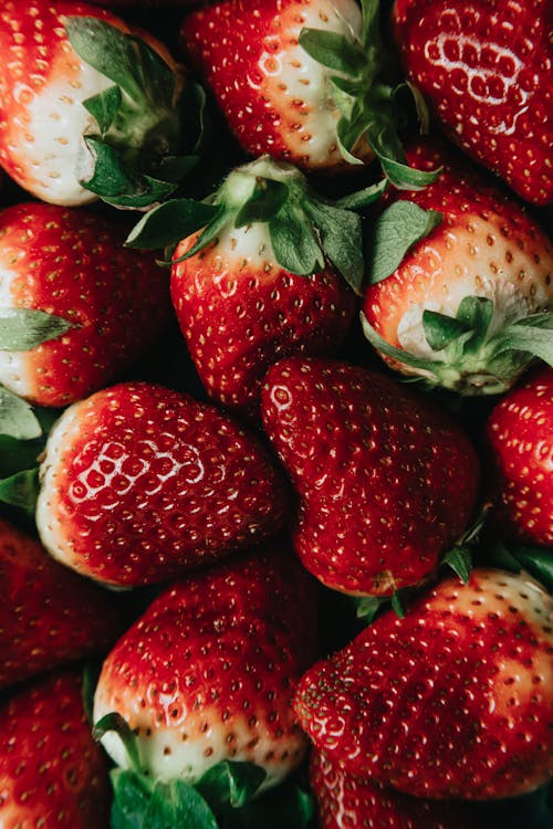Free Red Strawberries on White Ceramic Plate Stock Photo