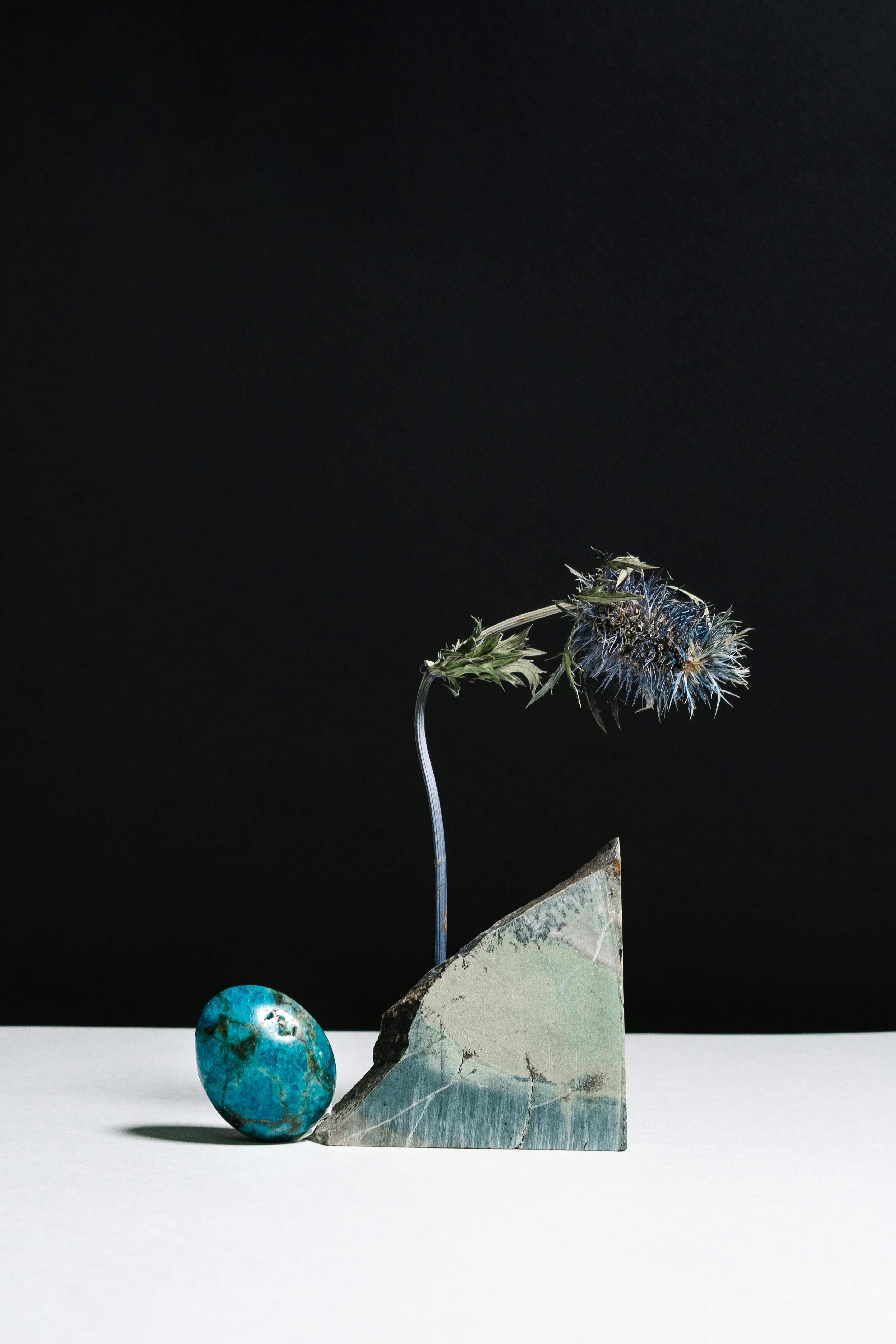 natural rough stones and dry eryngium composed against black background