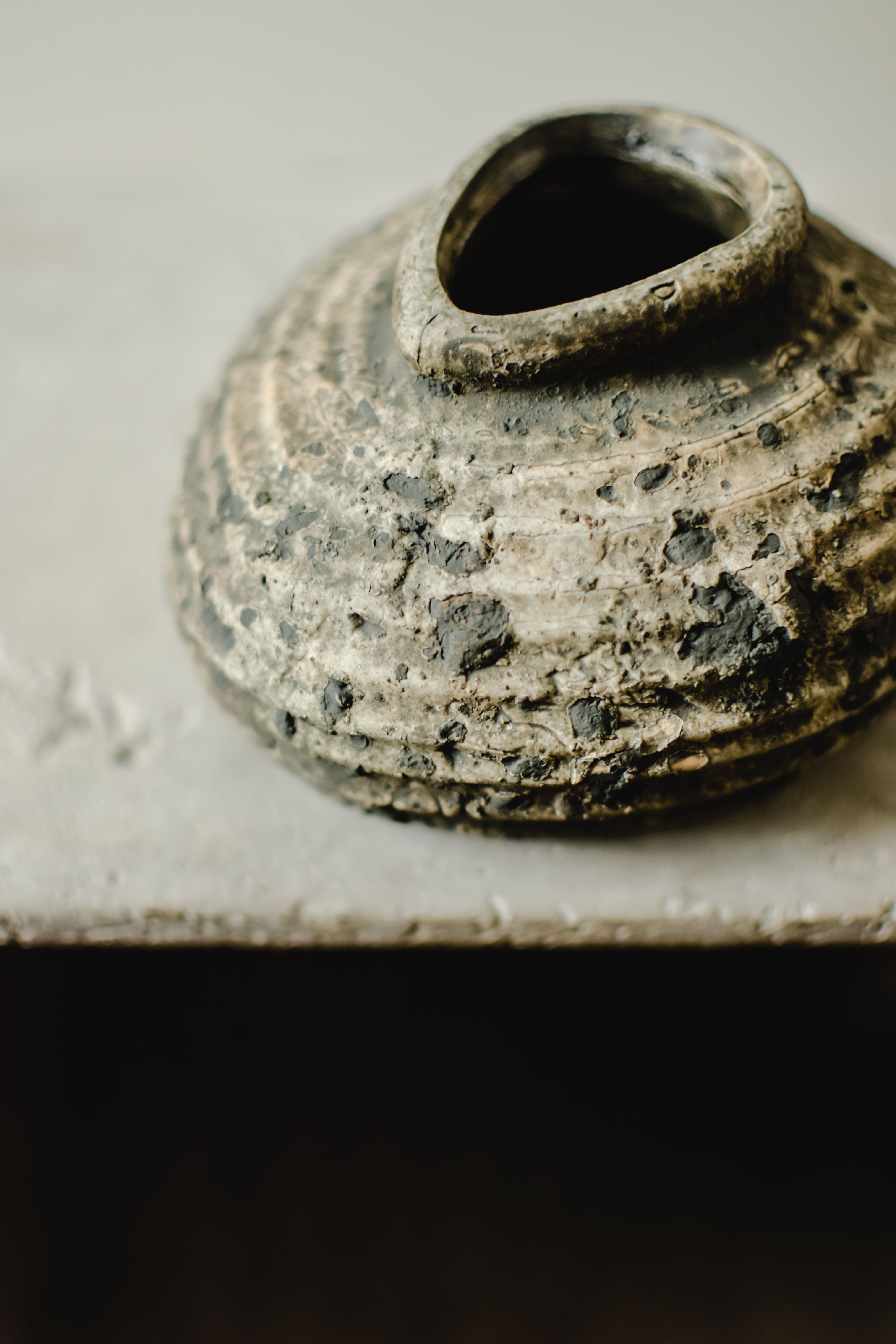 Photo by Eva Bronzini on pexels