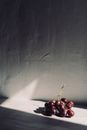 Free stock photo of action, aesthetic, berry